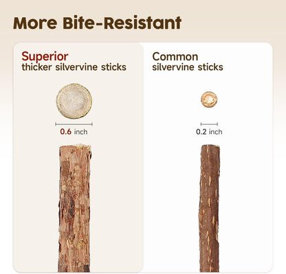 Redreo Katzenminze Sticks, 3 Stück Katzen Kauhölzer Sticks für Katzen Zahnpflege & Gegen Mundgeruch Natürlich Sicher Katzensticks Kausticks